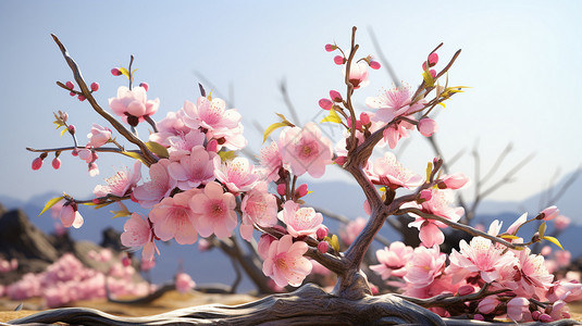 浮木树开满桃花的桃树插画