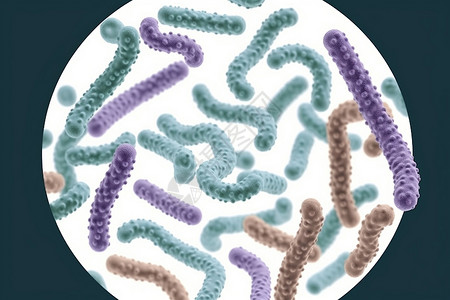 微观益生菌双歧杆菌高清图片