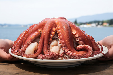 章鱼海鲜食品图片