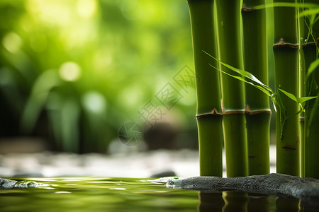 溪流旁的竹子图片