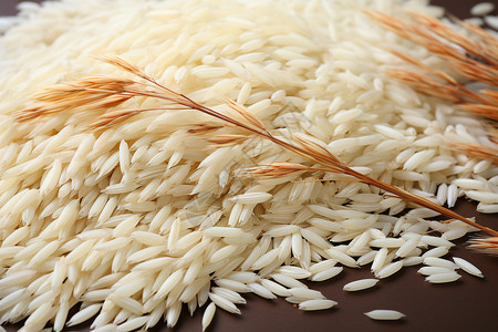 饱满米粒香软饱满的大米背景