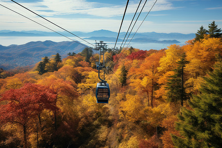 滑雪落在秋天森林上空的索道背景