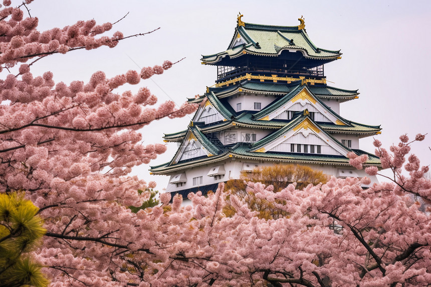 樱花环绕的建筑图片