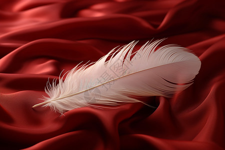 红色丝绸上的羽毛背景图片