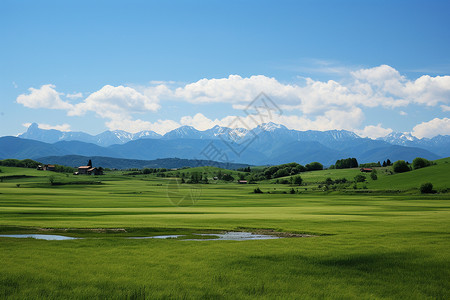 夏季乡村郁郁葱葱的田野图片