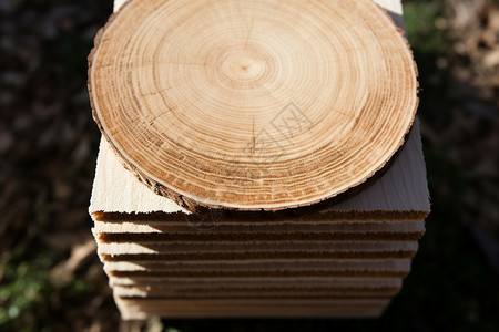 棕色橡木的木材图片