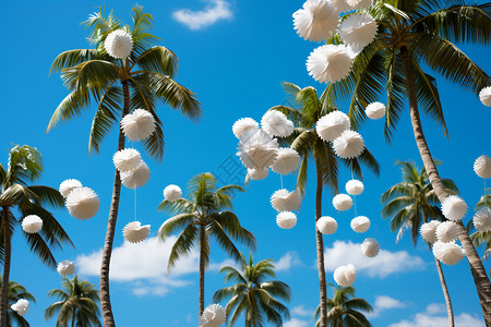 创意美感的椰子树图片