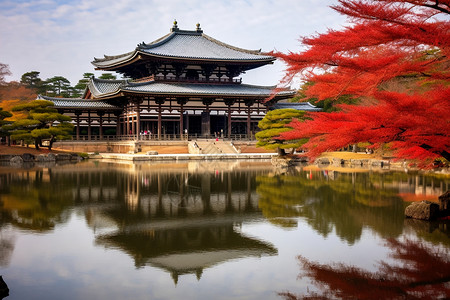 佛教神社公园的美丽景观高清图片