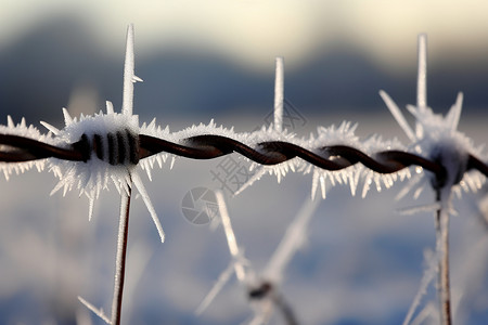 冬季铁丝上的冰霜图片