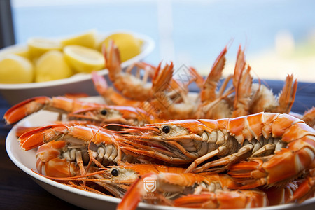 新鲜美味的清蒸海虾背景图片