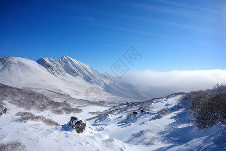 冬天美丽的雪景图片