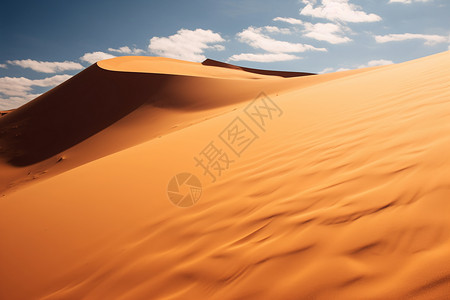 一片金黄色的沙丘背景图片