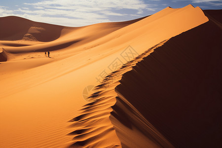 阳光充足的撒哈拉沙漠图片