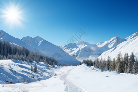 阿尔卑斯山的雪山区高清图片