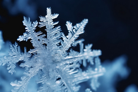 户外闪亮的冰冻雪花图片