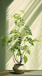 绿色植物光影图片