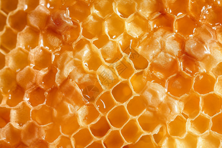 天然蜂蜜画册美味的蜂蜜背景