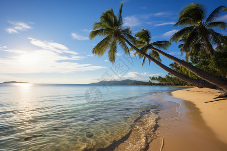 夏天度假岛屿海滩的美丽景观背景图片