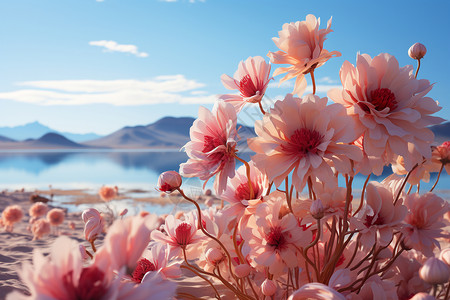 海边梦幻般的粉色花朵图片