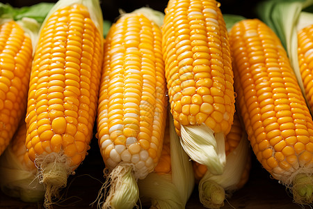 玉米粮食特写图片