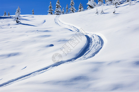 冬天的雪地图片