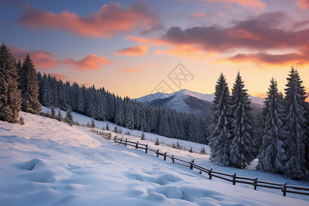 冬季阿尔卑斯山的雪景图片