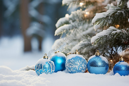 户外白雪覆盖的圣诞树场景背景图片