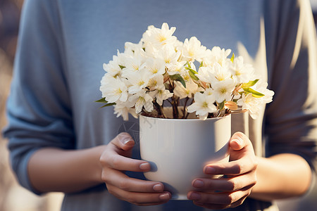 手捧的白色花卉盆栽图片