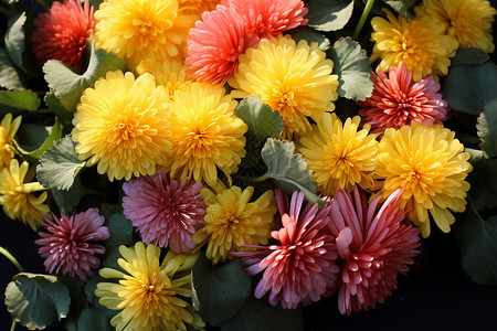 约惠情人节情人节活动色彩纷呈的鲜花背景