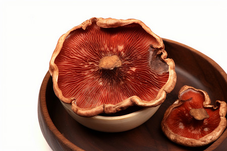 鲜美的蘑菇生物营养高清图片