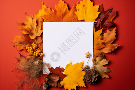 秋季落叶纸张背景图片