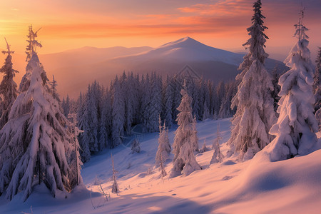 美丽的冬季山林景观图片