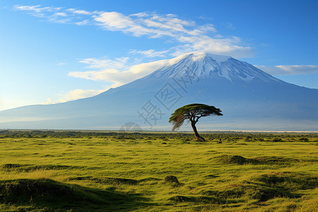 夏季肯尼亚的草原景观图片