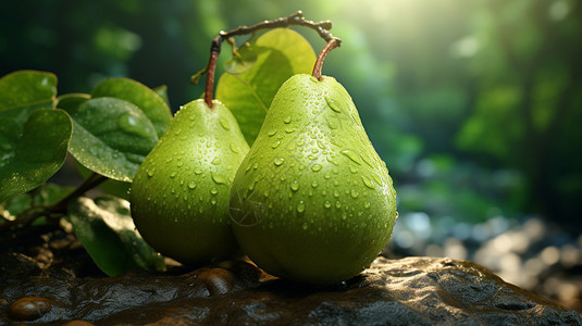 新鲜采摘的梨子背景图片