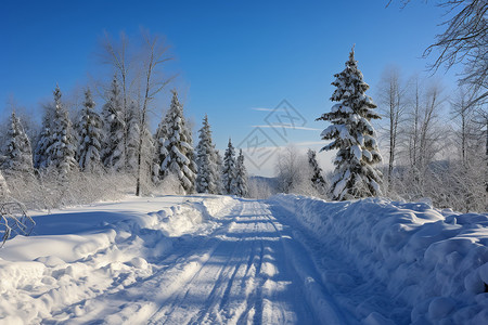 下雪后的道路图片