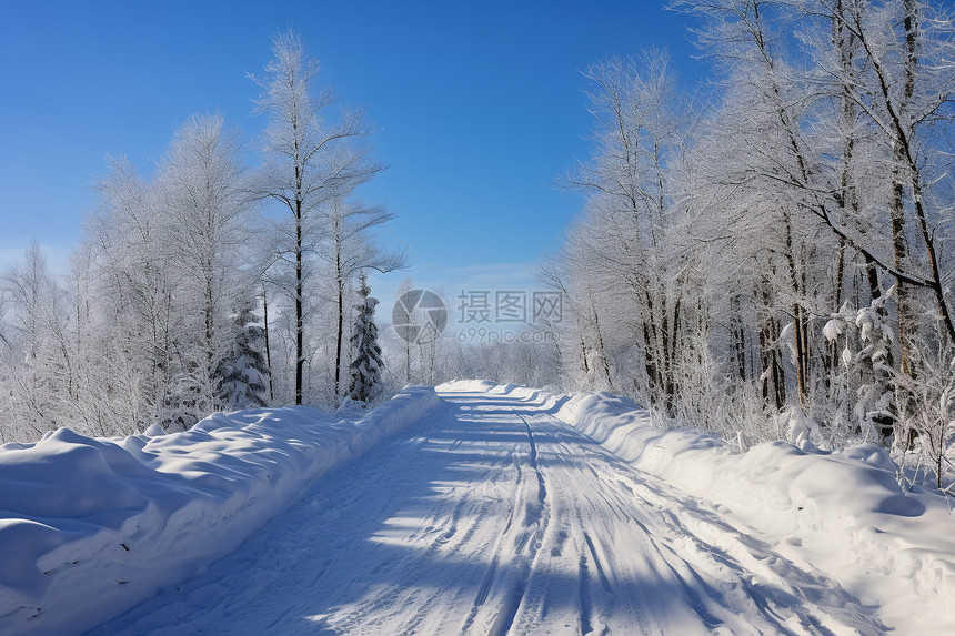 冬天雪后的风景图片