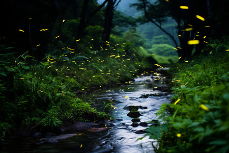 萤火虫森林夏天的森林背景