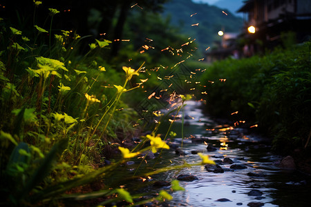 草丛中的萤火虫树木和河流背景