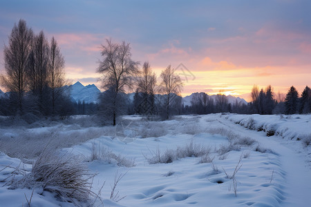 雪后的清晨冬天的黎明高清图片