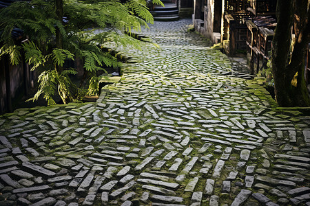 乡村古老建筑的青苔道路背景图片