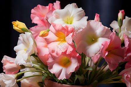 花团锦簇的铃兰花背景图片