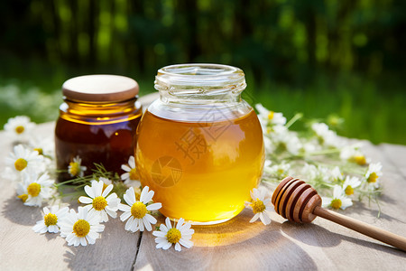 蜜罐与雏菊蜂蜜植物高清图片
