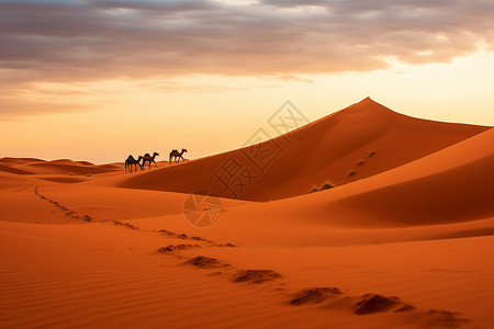 沙漠的旅行撒哈拉日落高清图片