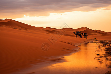 撒哈拉沙漠的风景图片