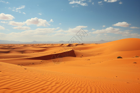 夏季的沙漠图片