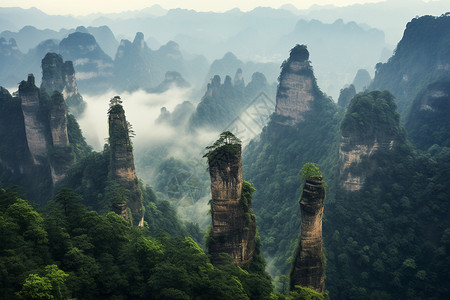 美丽的风景区图片