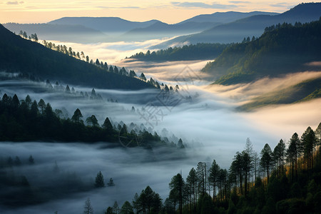 日出山间的云海景观图片