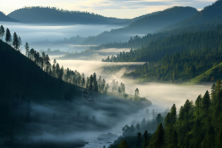 迷雾笼罩的山脉景观图片