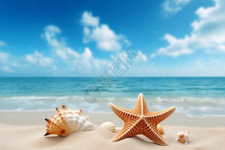 漂亮造型的海星背景图片