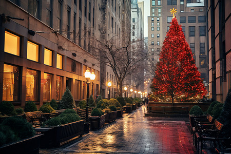 纽约市的圣诞树图片